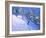 Steep slope,Les Arcs,France-Andrew Macara-Framed Giclee Print