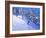 Steep slope,Les Arcs,France-Andrew Macara-Framed Giclee Print