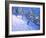 Steep slope,Les Arcs,France-Andrew Macara-Framed Giclee Print