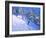 Steep slope,Les Arcs,France-Andrew Macara-Framed Giclee Print