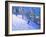 Steep slope,Les Arcs,France-Andrew Macara-Framed Giclee Print