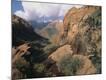 Premium Photographic Print