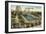 Steeplechase Swimming Pool, Coney Island, New York City-null-Framed Art Print