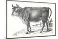 Premium Giclee Print
