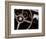 Steering Wheel-John Maggiotto-Framed Art Print