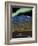 Steese National Conservation Area-Bureau of Land Management-Framed Art Print