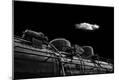 Photographic Print