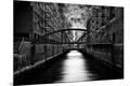 Photographic Print