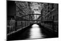 Photographic Print