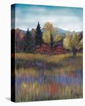 Landscape-Stefan Greenfield-Stretched Canvas