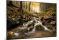 Premium Giclee Print