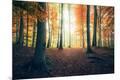 Premium Giclee Print
