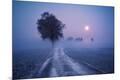 Premium Giclee Print