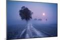 Premium Giclee Print