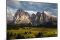 Giclee Print