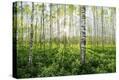 Stretched Canvas Print