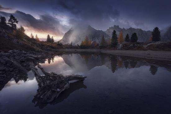 Photographic Print, , large