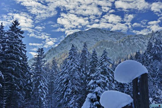Photographic Print, , large