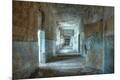 Premium Photographic Print