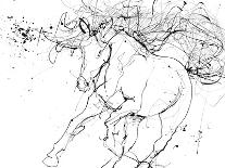 Horse Contour 2-Stefano Altamura-Giclee Print