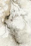 Shake the Dust 1-Stefano Altamura-Giclee Print