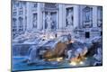 Photographic Print
