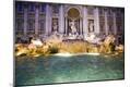 Photographic Print