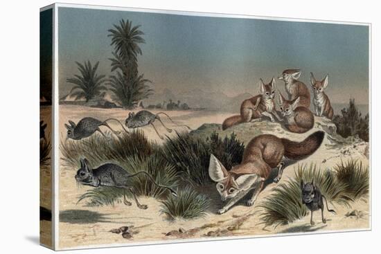 Stretched Canvas Print, , large