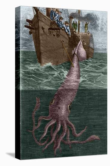 Stretched Canvas Print, , large