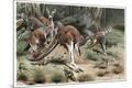 Giclee Print