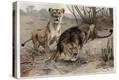 Stretched Canvas Print