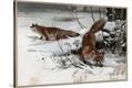 Stretched Canvas Print
