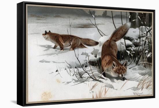 Stretched Canvas Print, , large