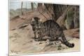 Giclee Print