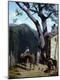 Giclee Print