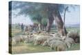 Stretched Canvas Print