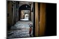 Premium Photographic Print