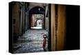 Stretched Canvas Print