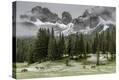 Stretched Canvas Print
