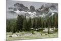 Photographic Print