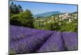 Premium Photographic Print