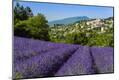 Photographic Print