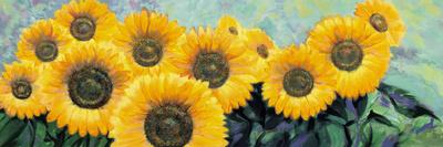 Fiori di Girasole-Stefano Riboli-Premium Giclee Print