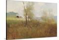 Stretched Canvas Print