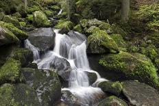 Triberger Waterfalls, Triberg (Village), Black Forest, Baden-Wurttemberg, Germany-Steffen Beuthan-Photographic Print