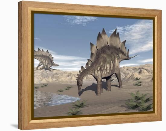 Stegosaurus Dinosaur Drinking Water in the Desert-null-Framed Stretched Canvas