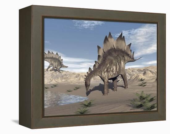 Stegosaurus Dinosaur Drinking Water in the Desert-null-Framed Stretched Canvas