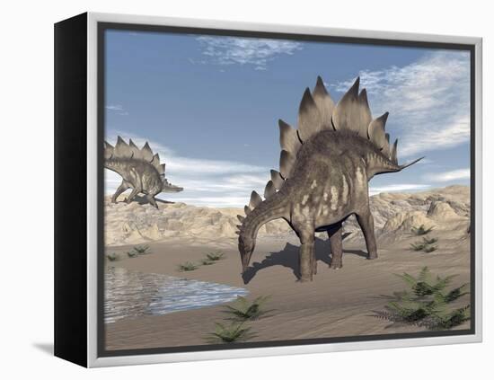 Stegosaurus Dinosaur Drinking Water in the Desert-null-Framed Stretched Canvas