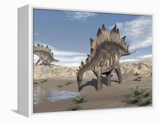 Stegosaurus Dinosaur Drinking Water in the Desert-null-Framed Stretched Canvas