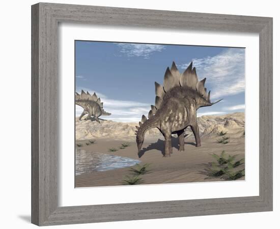 Stegosaurus Dinosaur Drinking Water in the Desert-null-Framed Art Print